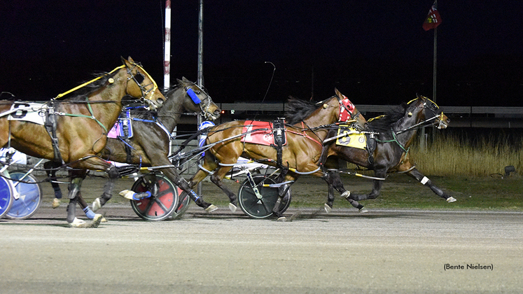 Harness racing at Rideau Carleton Raceway