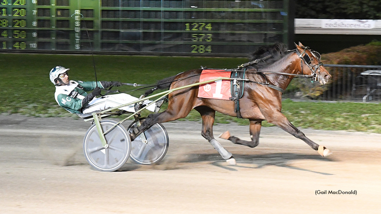 Southwind Arturo winning at Charlottetown Driving Park