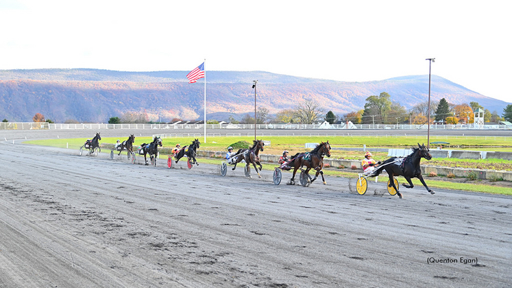 Live Racing Schedule Standardbred Canada