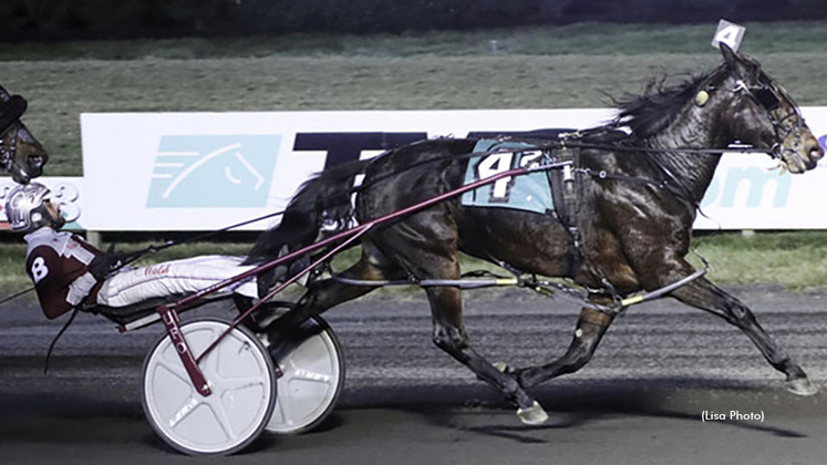 On The Money GB winning at The Meadowlands