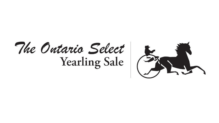 London Classic Yearling Sale | Standardbred Canada