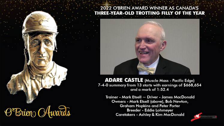 Mark Etsell on 2022 O'Brien Award winner Adare Castle