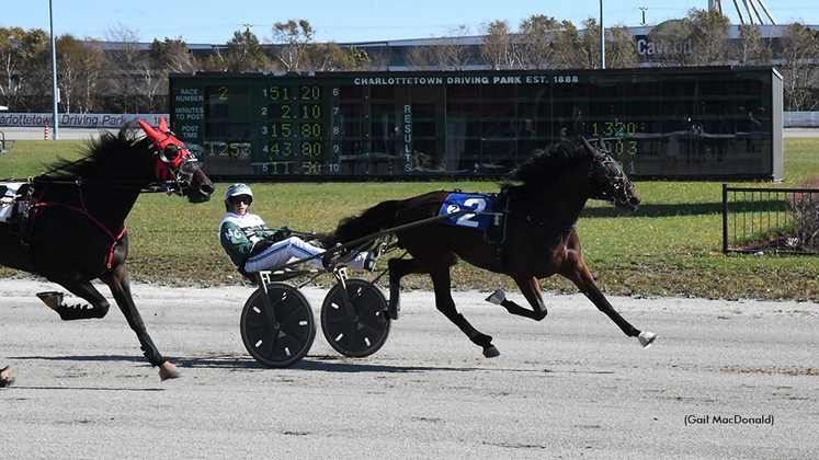 Irish Ray winning the 2022 Atlantic Breeders Crown