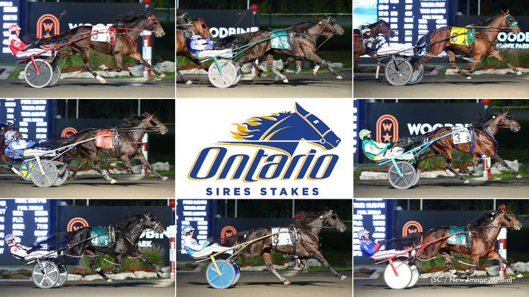 2022 Ontario Sires Stakes Super Final winners