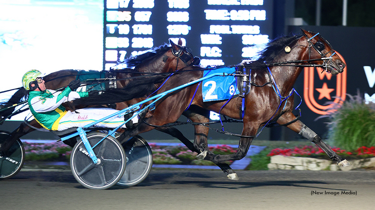 Stockade Seelster winning the Metro Pace