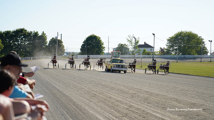 Harness racing at Truro Raceway