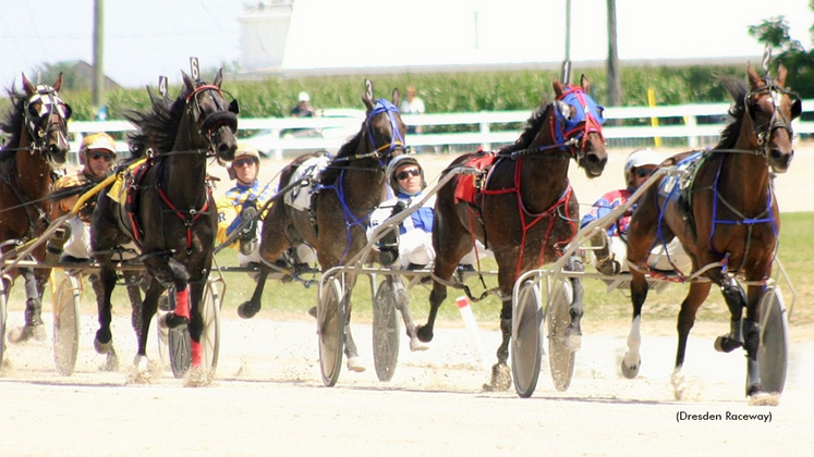 Harness racing at Dresden Raceway