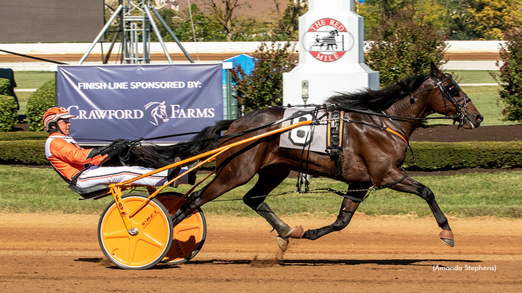 Espresso winning at The Red Mile