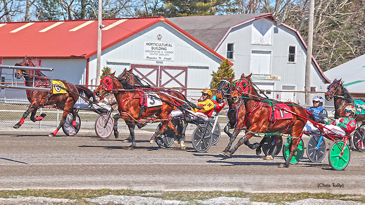 Horses behind the starting gate at First Tracks Cumberland