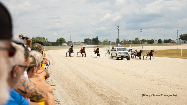 Harness racing at Grand River Raceway