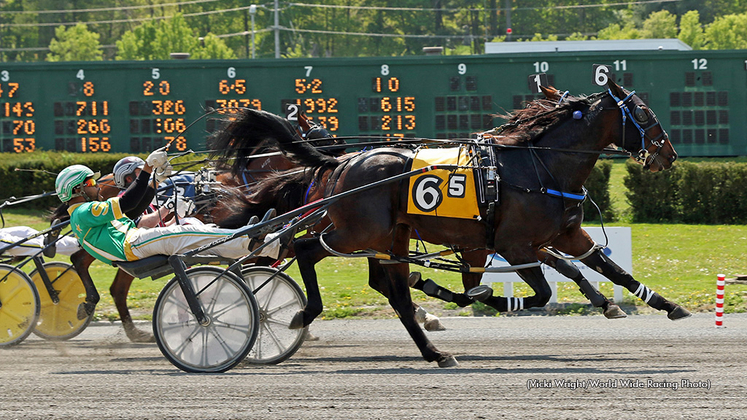 Missile Seelster winning at Freehold Raceway