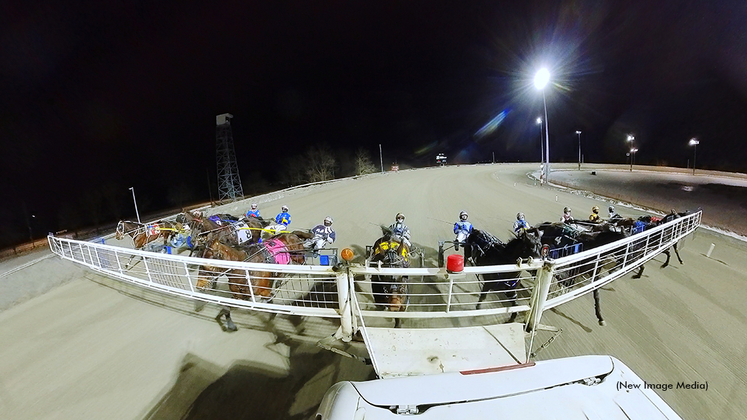 Horses behing the starting gate at Woodbine Mohawk Park