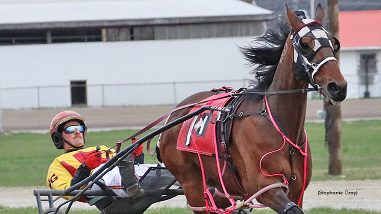 The Bird Dance N winning at First Tracks Cumberland