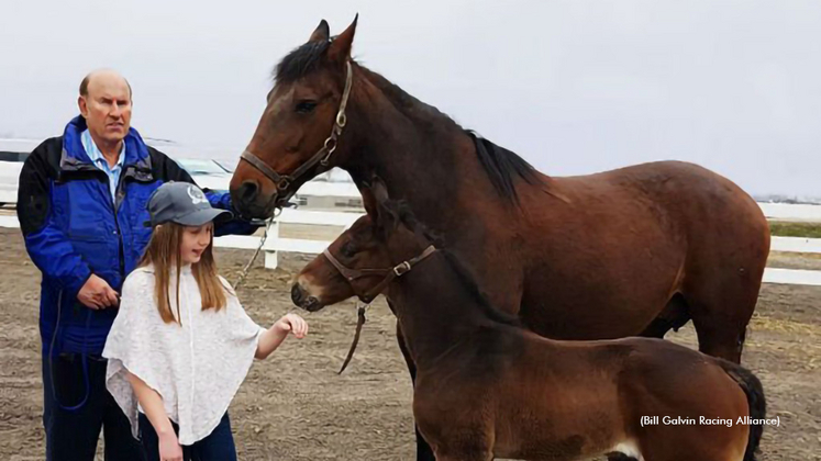 Tom Rankin at his farm's 2018 Open House, with a guest and horses Mandy and Keagan