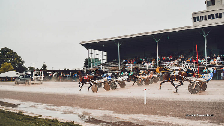 Harness racing at Clinton Raceway