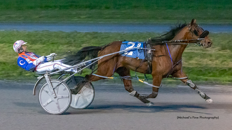 Domi winning at Fraser Downs