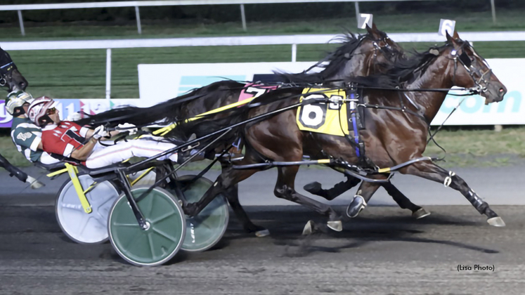 Goldin Greatness winning at The Meadowlands