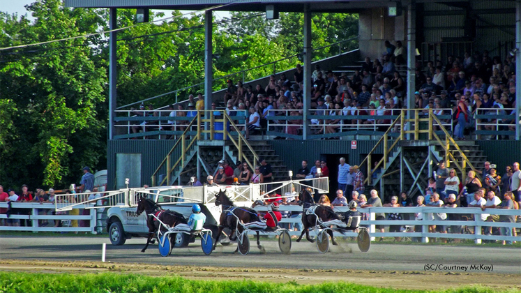 Harness racing at Connell Park Raceway in Woodstock, N.B.