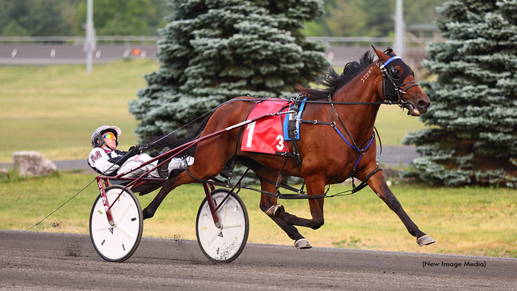 Grace Hill winning at Woodbine Mohawk Park