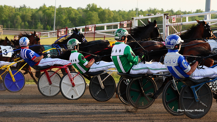 Horses behing the starting gate at Woodbine Mohawk Park