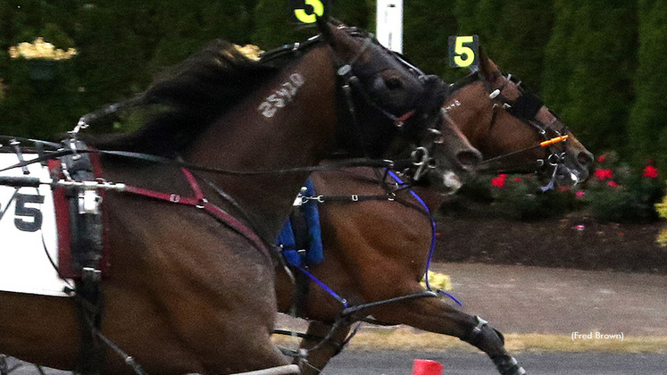 Rosey Time winning at Tioga Downs