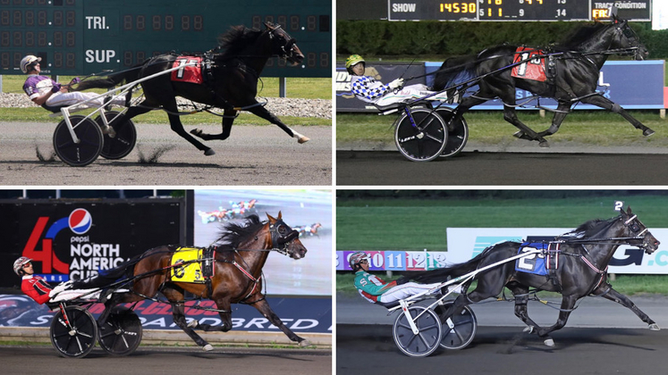 2023 Meadowlands Pace contenders Ammo, Confederate Fulton and Voukefalas
