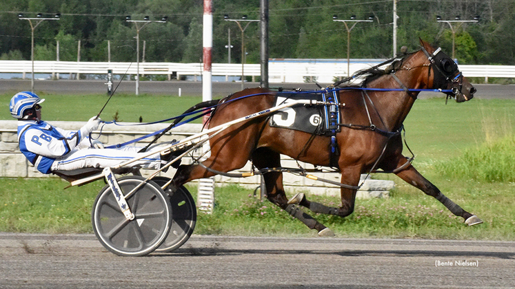 Best Honey Hanover