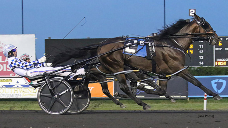 Cannibal winning at The Meadowlands