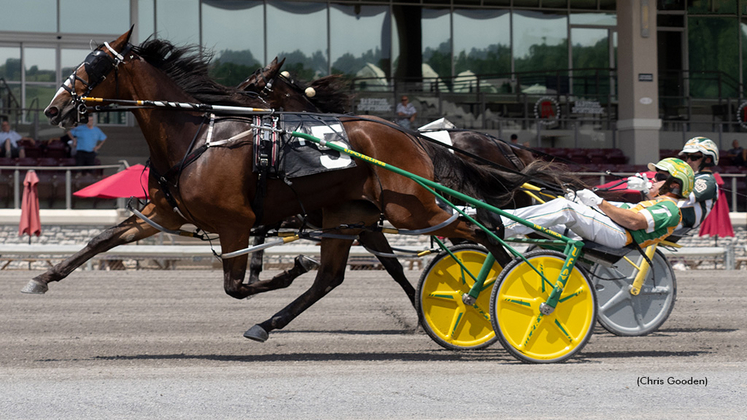 Geocentric winning at The Meadows