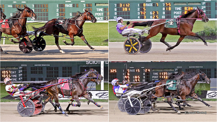 Next Generation winners, clockwise from top left, Magestic Seas, Jurassic Hattie, Midwind Beach Boy and Spaaaanzano