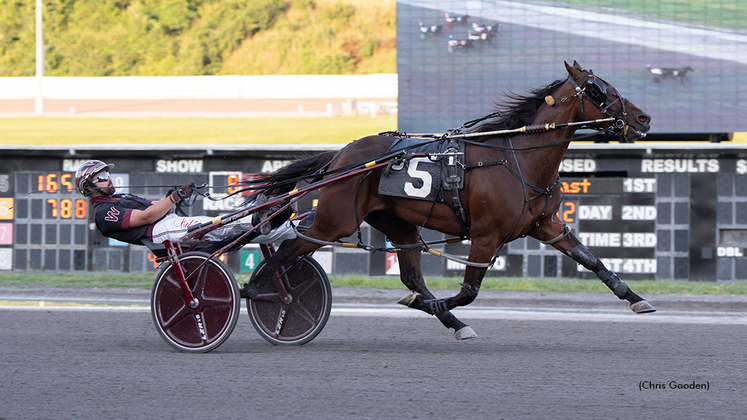 Risenshine Seaside winning at The Meadows