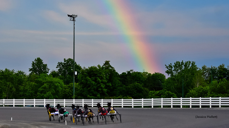 Harness racing under a rainbow at Saratoga Raceway