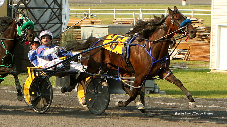 Shark Week winning at Century Downs