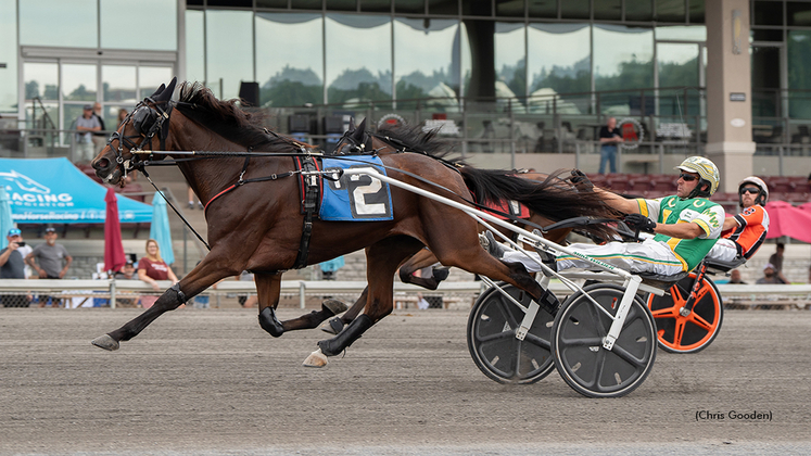 Skyline Seashell winning at The Meadows