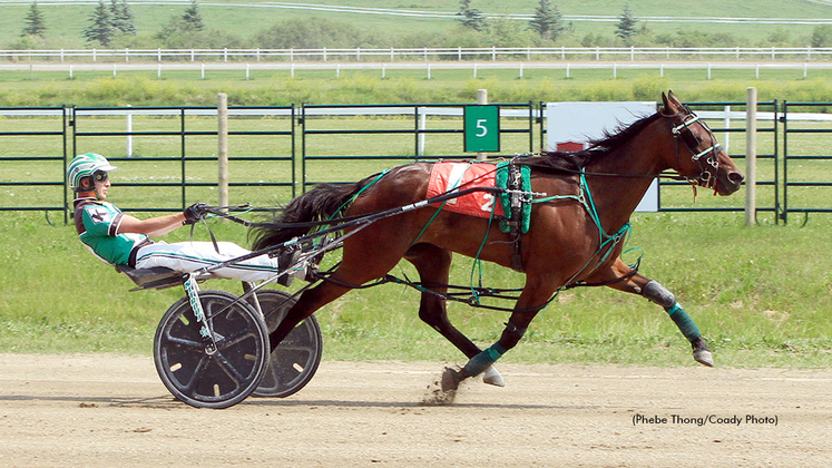 Snowpeak winning at The Track On 2