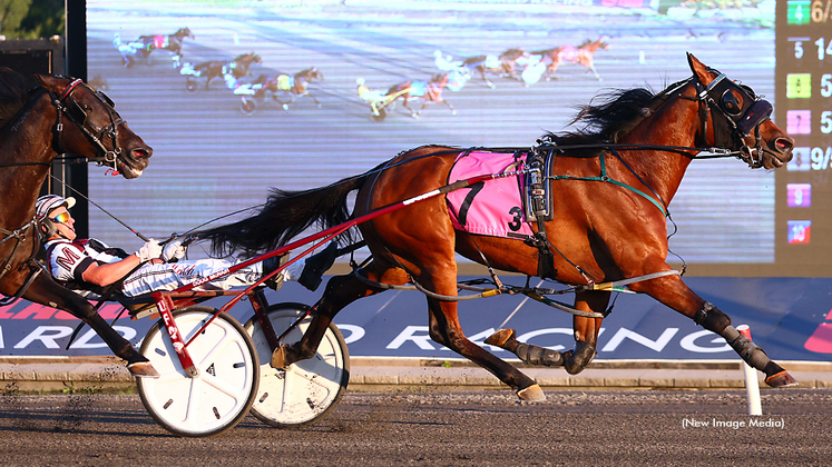 Style For The Mile winning at Woodbine Mohawk Park