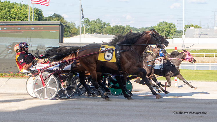 Swan Fine Lady winning at Northfield Park