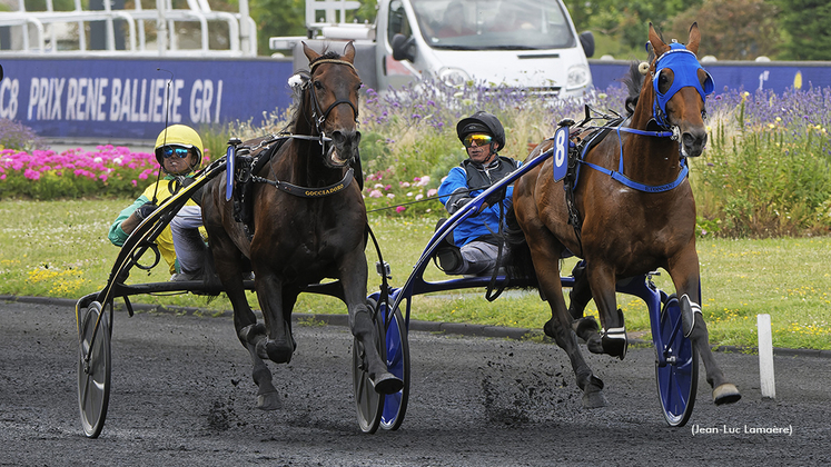 Vivid Wise As racing to the outside of Etonnant