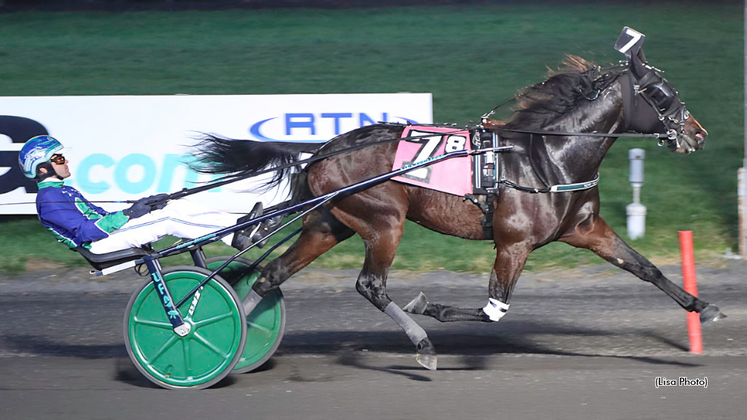 Volume Eight | Standardbred Canada