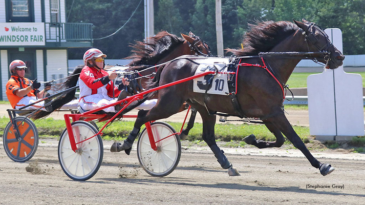 Chipper Dale winning at Windsor Fair in Maine