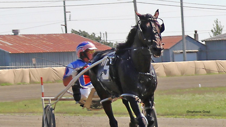 Colt Bennett at Windsor Fair