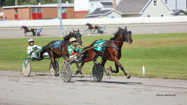 Irish Ray winning at Summerside Raceway