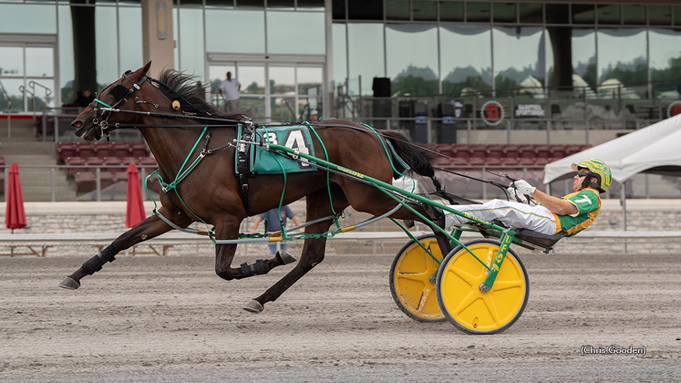 Lyons Legend winning at The Meadows