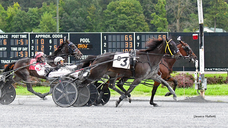 Always Watching winning at Saratoga Raceway