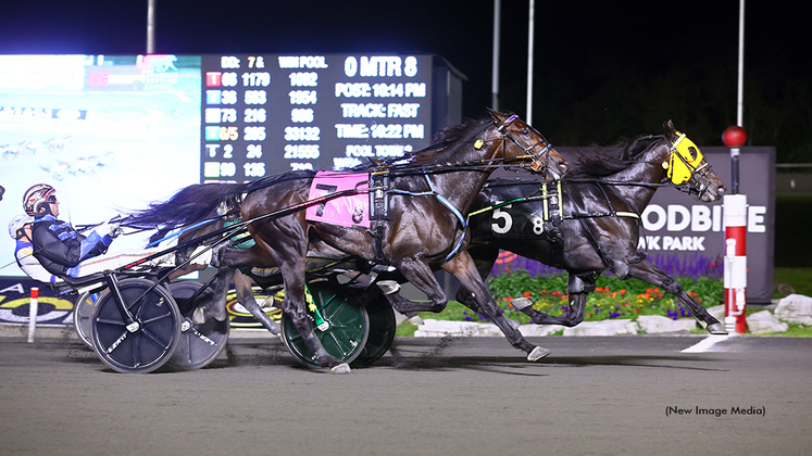 Celebrity Bambino winning at Woodbine Mohawk Park