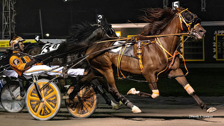 〈FEILER〉 UNITED ARROWS 別注 SPRINT HORSE Quincy Hayes and Follow Suit Top the Podium in the $5,000