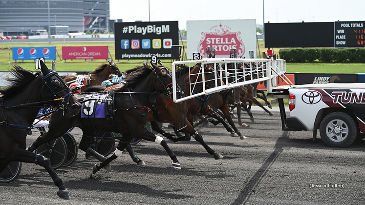 Harness racing at The Meadowlands