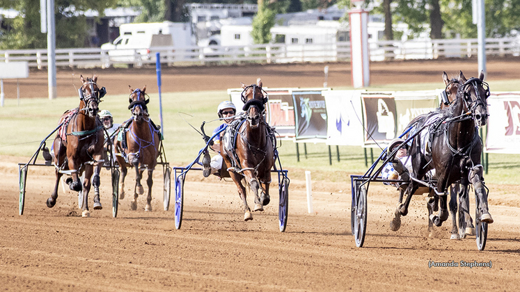 Harness racing at The Red Mile