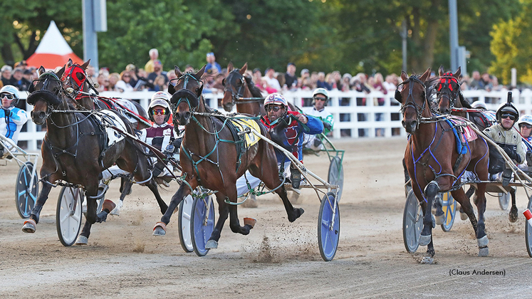 Harness racing at The Raceway at Western Fair District