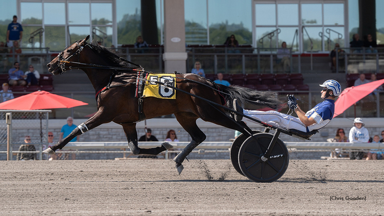 White Shoe Hanover winning at The Meadows